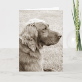 Cartão Irish Setter