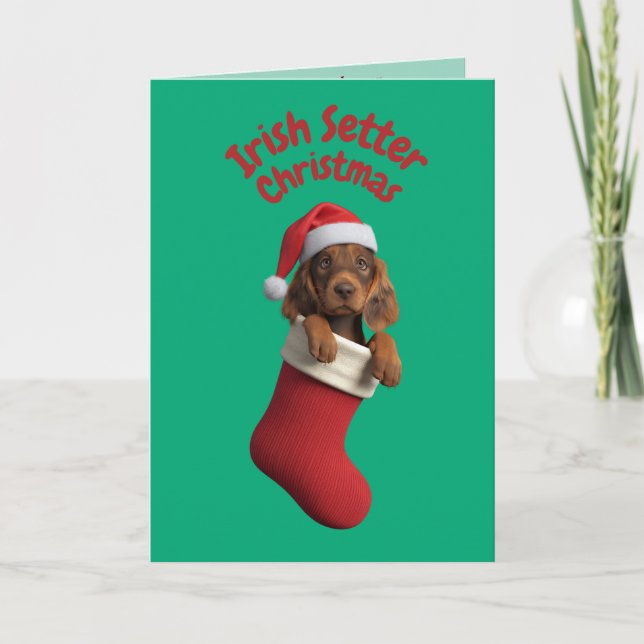 Cartão Irish Setter Christmas Stocks (Frente)