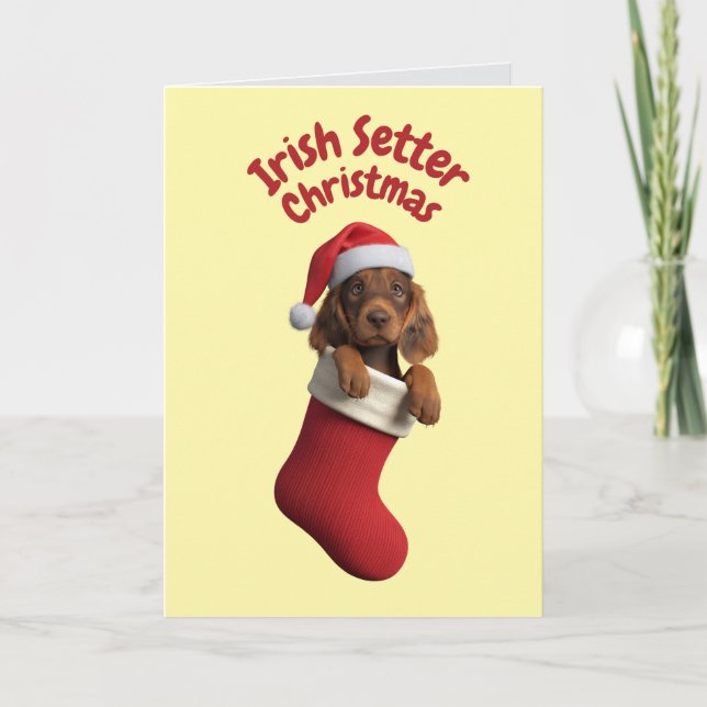 Cartão Irish Setter Christmas Stocks (Frente)