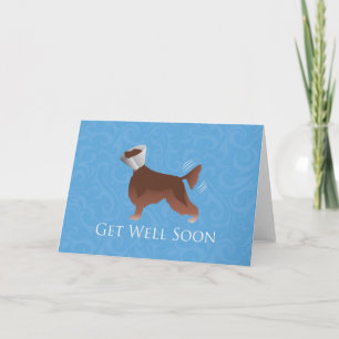 Cartão Irish Setter Get Well Soon Silhouette Dog in Cone