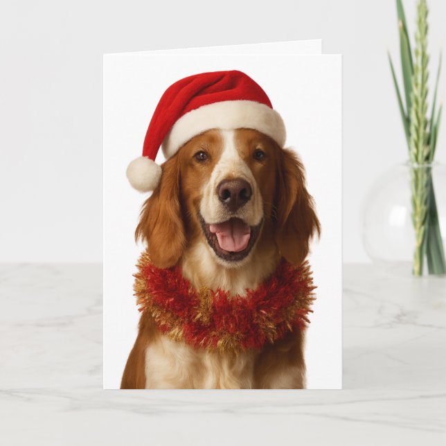 Cartão Irish Setter in a Santa hat Christmas card (Frente)