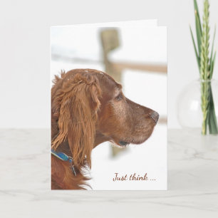 Cartão Irish Setter in snow for friendship