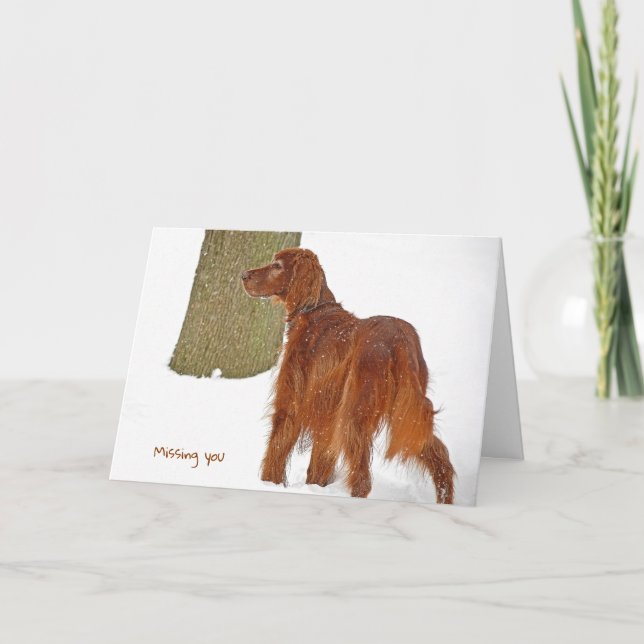 Cartão Irish Setter Miss You (Frente)