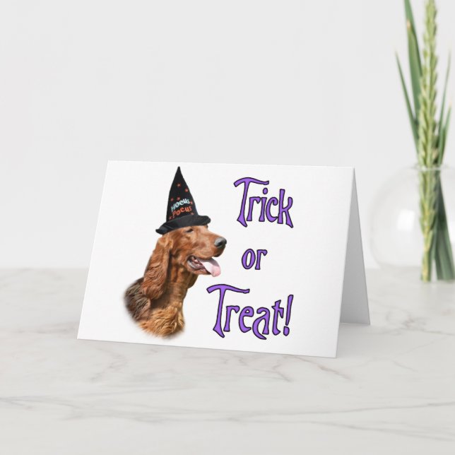 Cartão Irish Setter Trick (Frente)