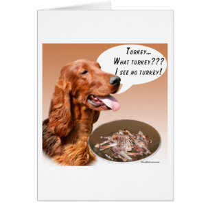 Cartão Irish Setter Turkey