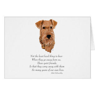 Cartão Irish Terrier Ponte do Arco-íris