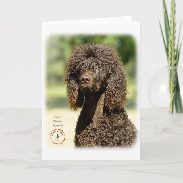 Cartão Irish Water Spaniel 9R032D-363 (Frente)