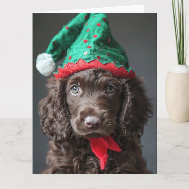 Cartão Irish Water Spaniel Elf Puppy (Frente)