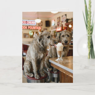Cartão Irish Wolfhounds de aniversário desfrutando de um 