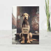 Irlandês Wolfhound 60º Aniversário Humor