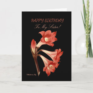 Cartão Irmã Birthday Belladonna Lily