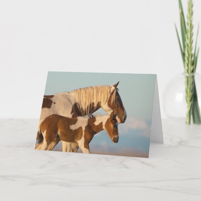 Cartão "Irmã Grande" (Frente)