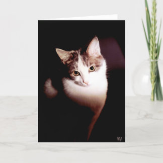 Cartão Irresistible