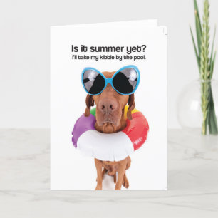 Cartão Is It Summer Yet? (Vizsla) - Greeting Card