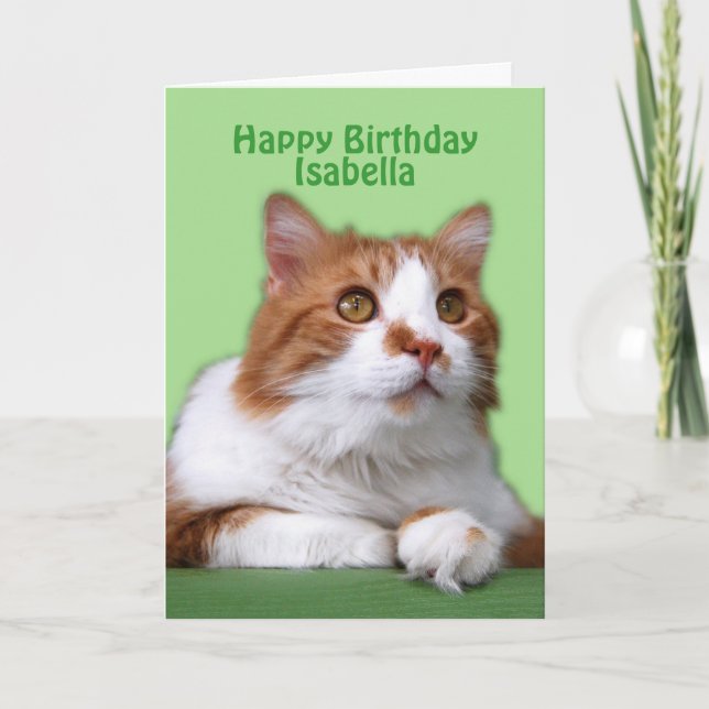 Cartão Isabella Happy Birthday Orange and White Cat (Frente)