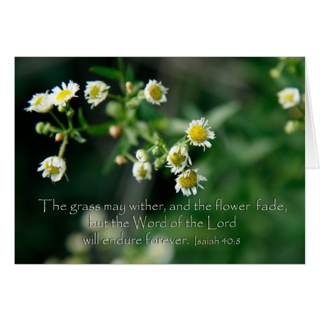 Cartão Isaías 40:8 A grama pode esmagar e esmaecer (Frente Horizontal)