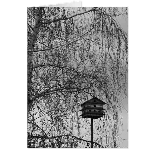 CARTÃO ISEE:HOME (Frente)