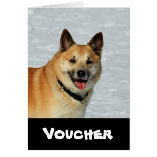 Cartão IslandêsSheepdog20150904