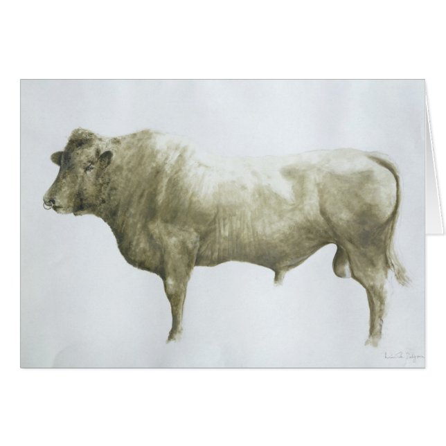 Cartão Islay Bull 2004 (Frente Horizontal)