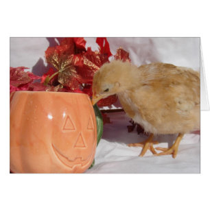 Cartão Isso É Comida?