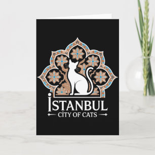 Cartão Istambul Cidade Dos Gatos Patrimonio Turco Hagia S