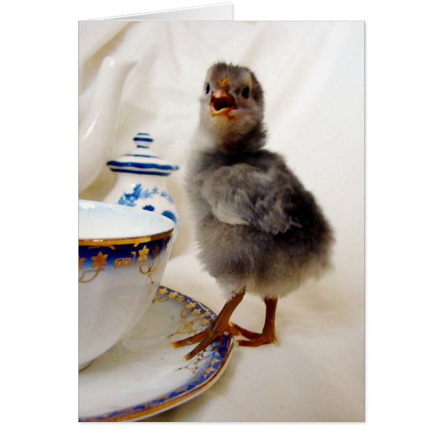 Cartão "Isto não faz parte do meu contrato", diz o pintin (Frente)