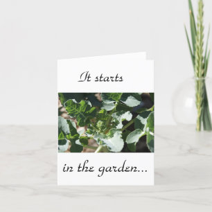 Cartão It starts in the garden
