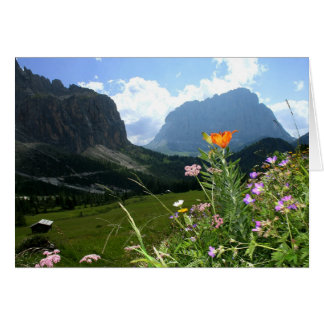 Cartão ITÁLIA: Flores selvagens, Dolomitas