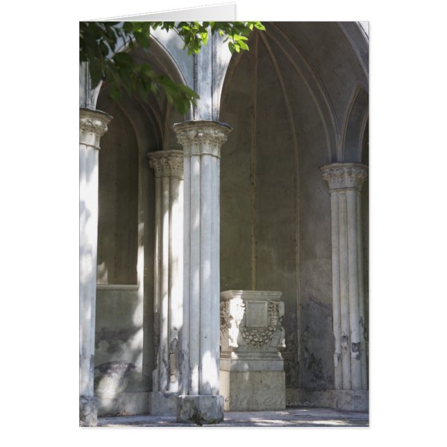 Cartão italiano, casa de campo Celimontana (Frente)