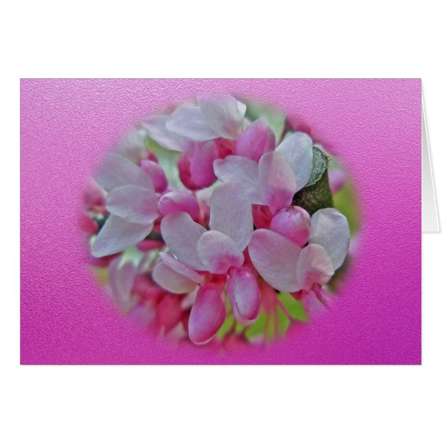 Cartão Itens de Brilhos da Árvore Redbud (Frente Horizontal)