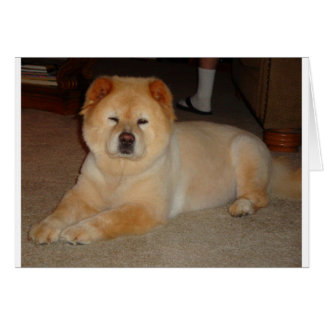 Cartão Itens de Chow