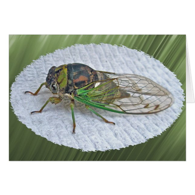 Cartão Itens de Coordenação Anual da Cicada (Frente horizontal)