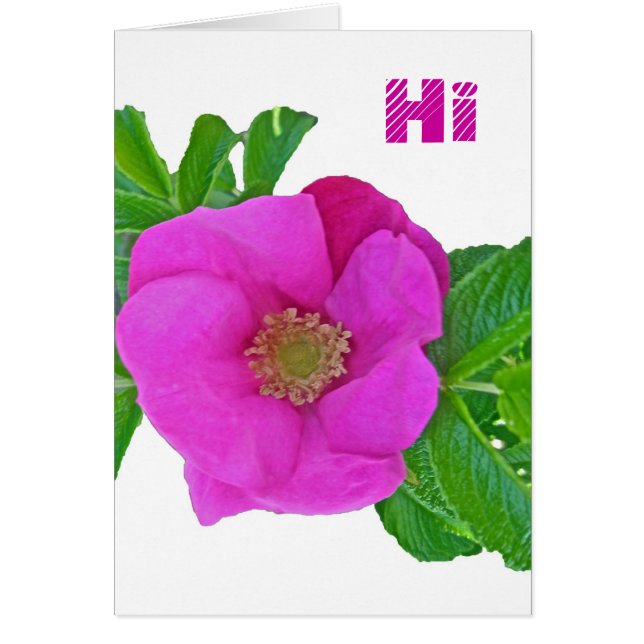 Cartão Itens de coordenação de Rosa de praia rosa-quente (Frente)