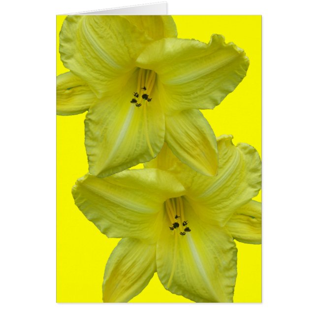 Cartão Itens de Coordenação Diária Amarelo (Frente)