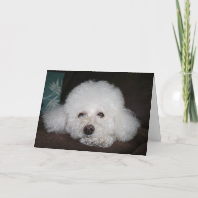 Cartão It's going to be okay Dog Card (Frente)