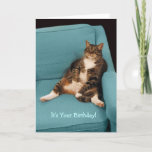 Cartão It's Your Birthday Big Fat Tabby Cat Greeting Card<br><div class="desc">A big fat tabby cat happily sitting up like a person and relaxing on a teal arm chair. Cute and funny laughs for anyone's birthday!!! Indulge on that birthday, eat cake, enjoy! Inspiration for this card comes from a photo I shot of a very good friend's large tabby cat at...</div>