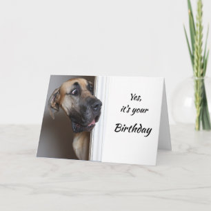 Cartão It's Your Birthday Fun Great Dane Dog Humor