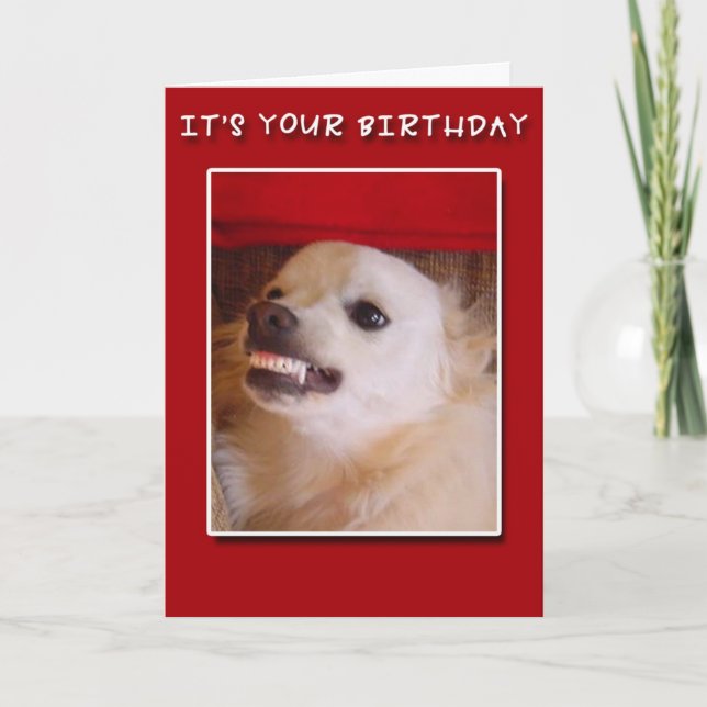 Cartão It's Your Birthday! Grinning Dog Birthday Card (Frente)
