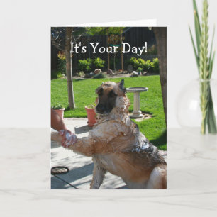 Cartão It's Your Day German Shepherd Birthday Card