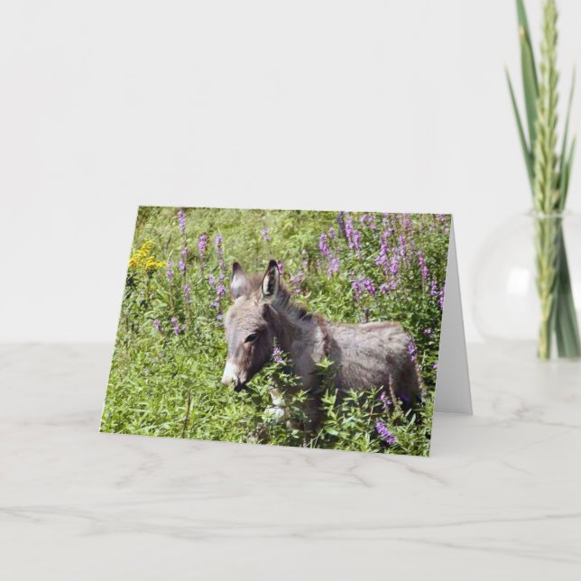 Cartão Itsy (Frente)