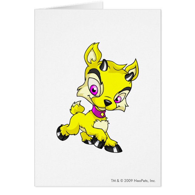 Cartão Ixi amarelo (Frente)