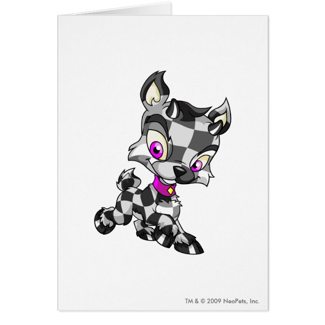 Cartão Ixi Checkered (Frente)