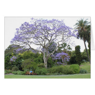 Cartão Jacaranda Tree