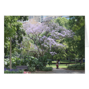 Cartão Jacaranda Tree
