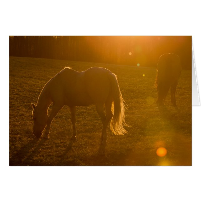 Cartão Jaci & Ava (Frente Horizontal)