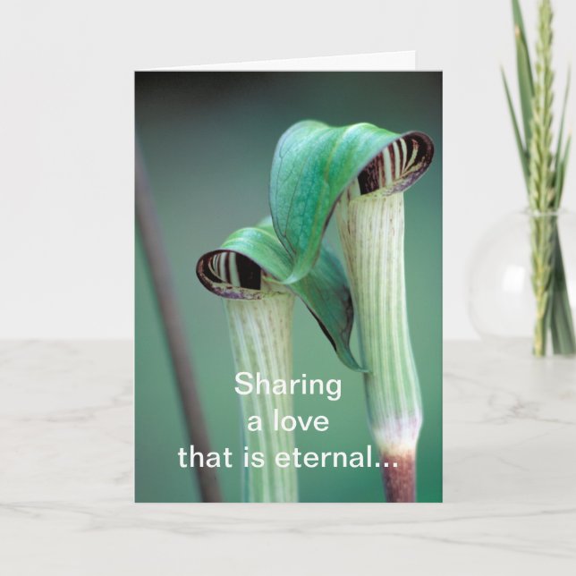 Cartão / Jack-in-the-pulpit (Frente)