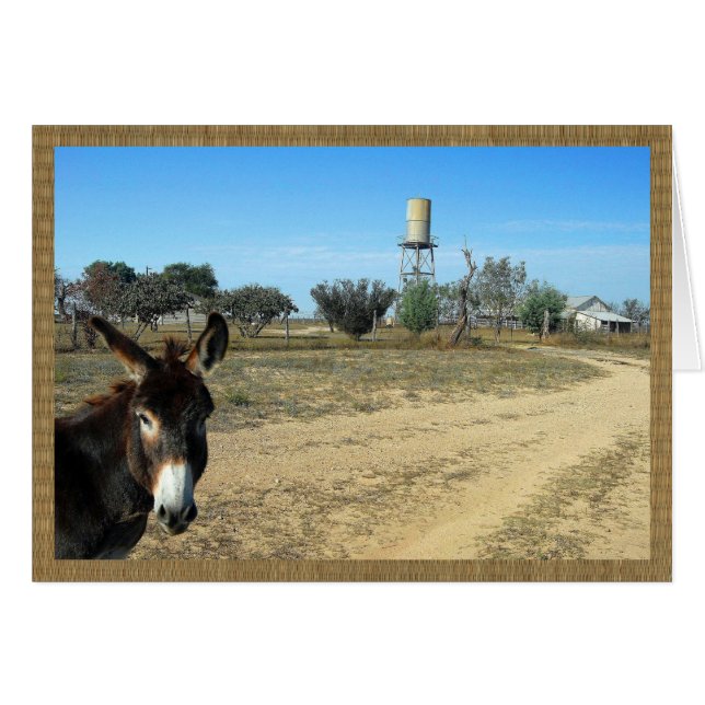 Cartão Jack, o burro no rancho (Frente Horizontal)