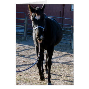 Cartão Jack Põe Sua Língua Fora