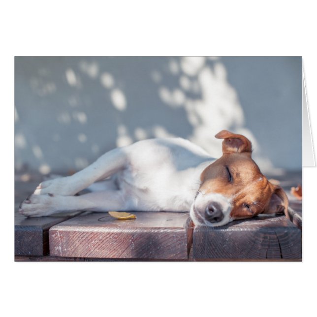 Cartão Jack Russel No Portão De Outono (Frente Horizontal)