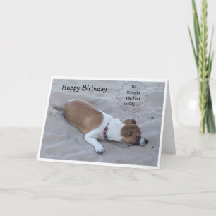 Cartão Jack Russell Dog Humorous Aniversário
